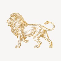 Lion gold sticker, aesthetic wildlife illustration vector