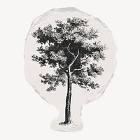 Vintage tree ripped paper clipart, nature illustration vector