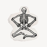 Human skeleton ripped paper clipart, vintage illustration vector