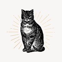 Cat drawing, vintage animal illustration