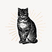 Cat drawing, vintage animal illustration psd