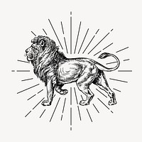 Walking lion drawing, vintage animal illustration