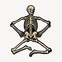 Human skeleton collage element, vintage medical illustration vector