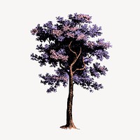 Aesthetic purple tree, botanical vintage illustration