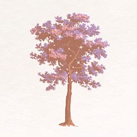 Tree collage element, nature aesthetic sparkly illustration vector