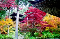 Pagoda in a Japanese garden in Kyoto