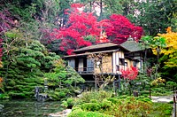 Ancient traditional Japanese garden.