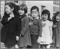 San Francisco, Calif., April 1942. First-graders, some of Japanese ancestry, at the Weill public school pledging allegience to the United States flag. The evacuees of Japanese ancestry will be housed in War relocation authority centers for the duration of the war. Sourced from the Library of Congress.