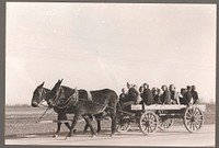 Carrying children home from school by wagon and mules near Transylvania Project, Louisiana by Russell Lee