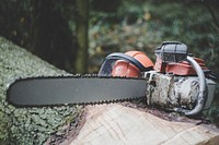 A chainsaw on a tree