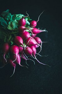 Close up of fresh radishes