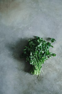 Bunch of cilantro on a concrete table