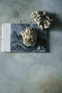 Fresh oyster mushrooms on a gray slate