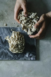 Chef cooking with oyster mushrooms