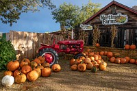 It&rsquo;s fall pumpkin season at the Mortimer Farms farm-market outlet in the settlement of Humbolt-Dewey, near Prescott in Central Arizona. Original image from <a href="https://www.rawpixel.com/search/carol%20m.%20highsmith?sort=curated&amp;page=1">Carol M. Highsmith</a>&rsquo;s America, Library of Congress collection. Digitally enhanced by rawpixel.