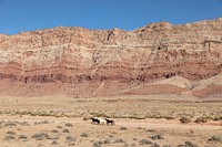 Horses running near a settlement called The Gap, on the remote Navajo Nation&rsquo;s lands in far-northeastern Arizona.