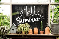 Summer themed blackboard in a greenhouse