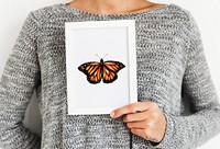 Closeup of butterfly photo frame
