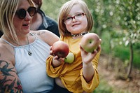 Little girl holding some apples