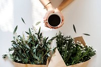 Aerial view of a woman drinking coffee in the morning