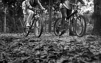 Group of friends ride mountain bike in the forest together