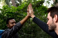 High five in the forest