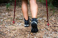 Trekking in a forest