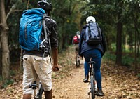 Group of friends ride mountain bike in the forest together