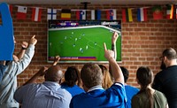 Friends cheering sport at bar together