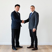 Diverse businessmen shaking hands