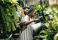 Couple taking care of the plants