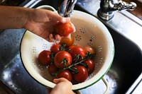 Cleaning tomatoes at a kitchen sink