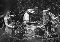 Group of diverse men trekking in the forest together