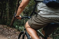 Rear view of male cyclist in the forest