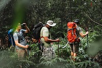 Group of diverse men trekking in the forest together