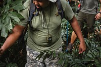 Man trekking in the forest with friends