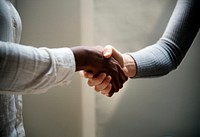 Two business people shaking hands