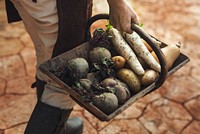 Farmer carrying fresh produce in a wooden basket