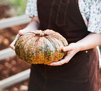 Female farmer holding a large pumpkin