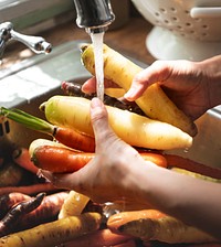 Chef cleaning carrots and turnips in the sink