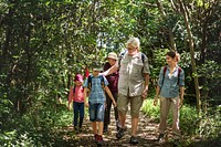 Family hiking in a forest