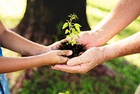 Family planting a new tree for the future