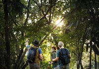 Seniors trekking in a forest