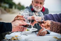 Seniors toasting with red wine at the beach