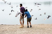 Couple and pigeons by the lake