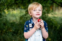 Young boy holding fresh strawberries