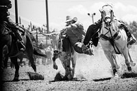 Rodeo action at the Cheyenne Frontier Days celebration in Wyoming&#39;s capital city. The Western celebration has been celebrated since 1897. Original image from <a href="https://www.rawpixel.com/search/carol%20m.%20highsmith?sort=curated&amp;page=1">Carol M. Highsmith</a>&rsquo;s America, Library of Congress collection. Digitally enhanced by rawpixel.
