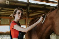 Girl grooming a chestnut horse