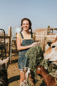 Cheerful young girl feeding goats and a cow