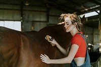 Girl brushing a chestnut horse